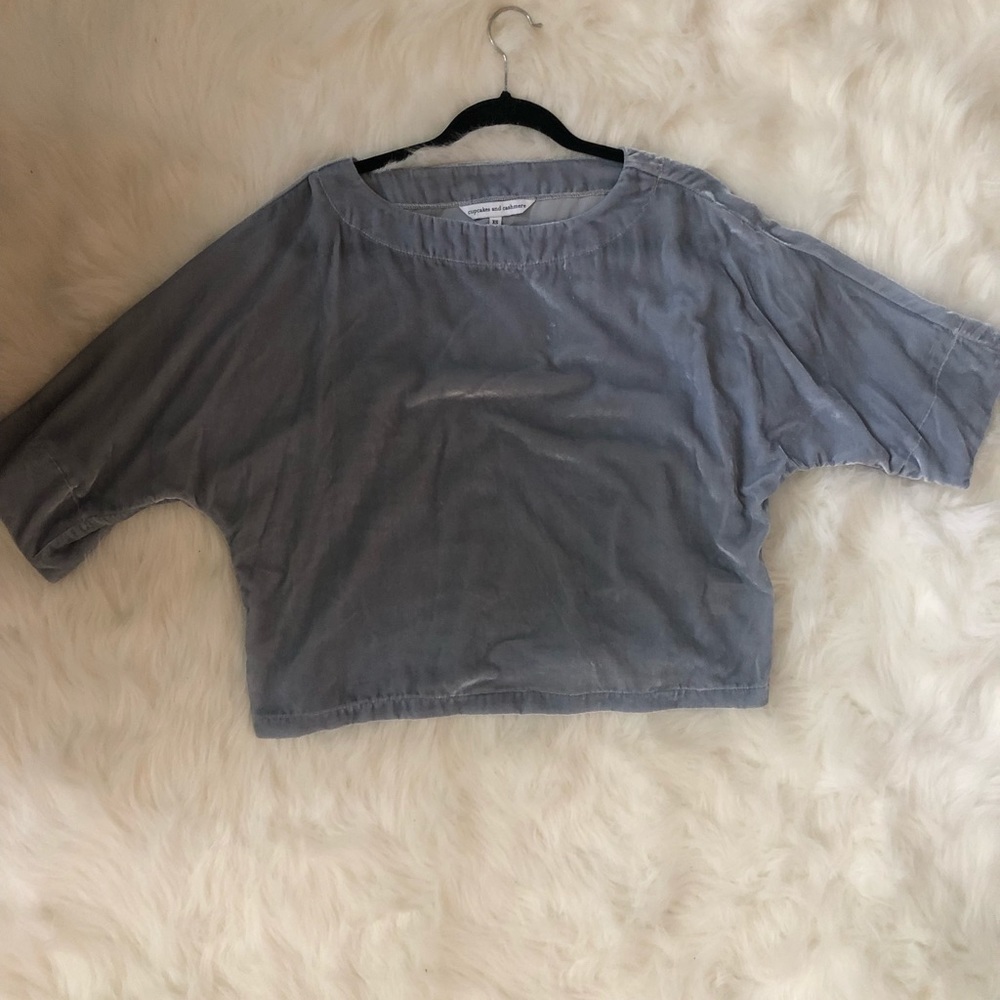Cupcakes and Cashmere Blue Velvet Top
